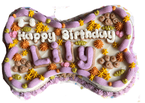 **SensitiveSkin** Bone Shaped Party Cake 8.5" dog cake - Custom item: 5 Days Leadtime Required - Image 3