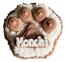 Small Paw Cake 4" dog cake - Custom item: 5 Days Leadtime Required - Image 2