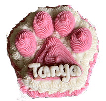 Small Paw Cake 4" dog cake - Custom item: 5 Days Leadtime Required