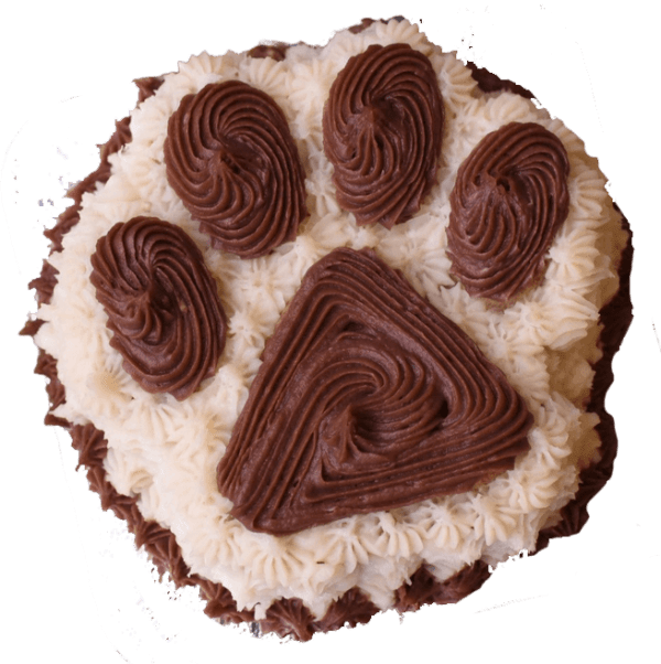 Small Paw Cake 4" dog cake - Custom item: 5 Days Leadtime Required - Image 4