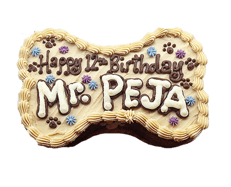 **SensitiveSkin** Bone Shaped Party Cake 8.5" dog cake - Custom item: 5 Days Leadtime Required - Image 9