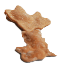 Salmon and Fiber Fishcuits