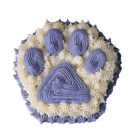 Small Paw Cake 4" dog cake - Custom item: 5 Days Leadtime Required - Image 8