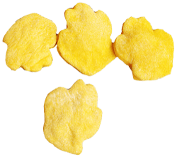 Turmeric & Honey Biscuits - pet treat