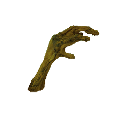 Zombie Paws (chicken feet with spirulina and moringa) - dog treat