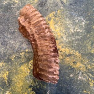 Buffalo Pipes Chew - dog treat